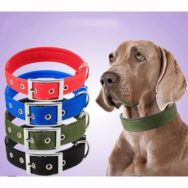 Nylon Dog Collar for All Sizes - Value Mart