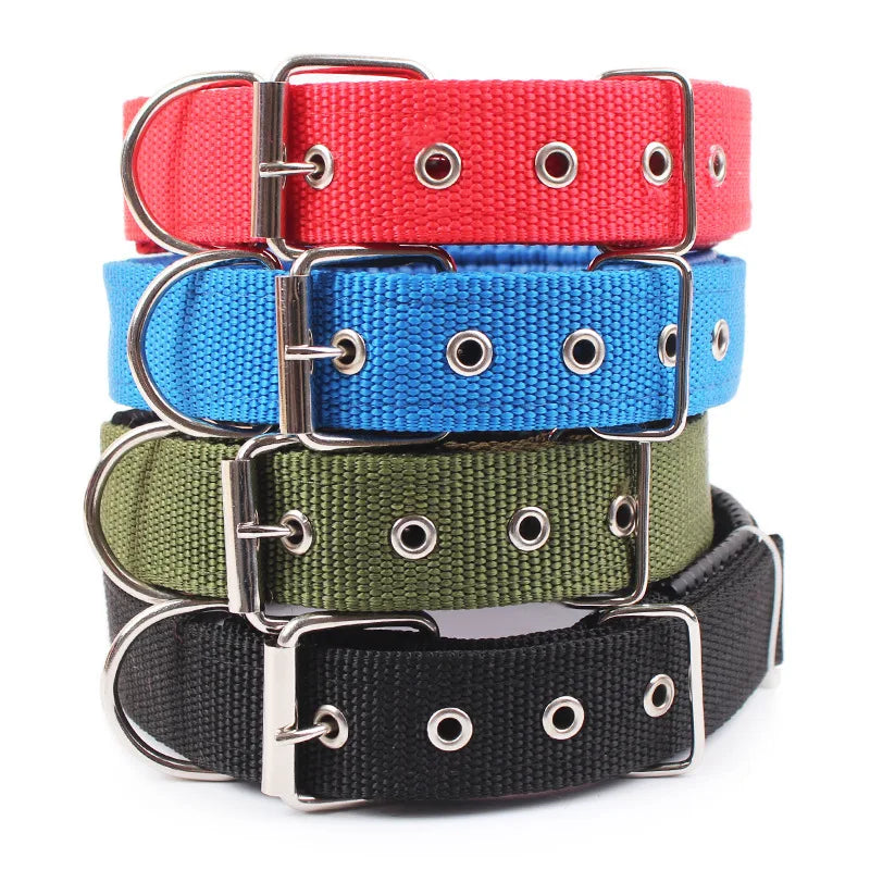 Nylon Dog Collar for All Sizes - Value Mart