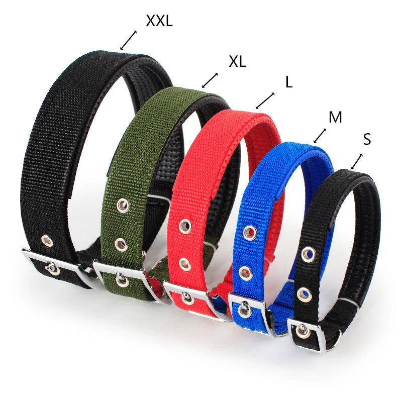 Nylon Dog Collar for All Sizes - Value Mart