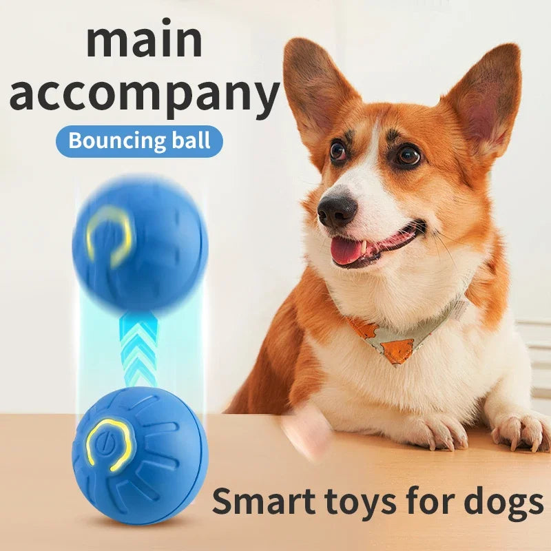 Interactive Smart Pet Toy Ball