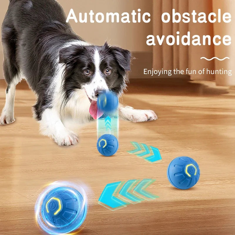 Interactive Smart Pet Toy Ball