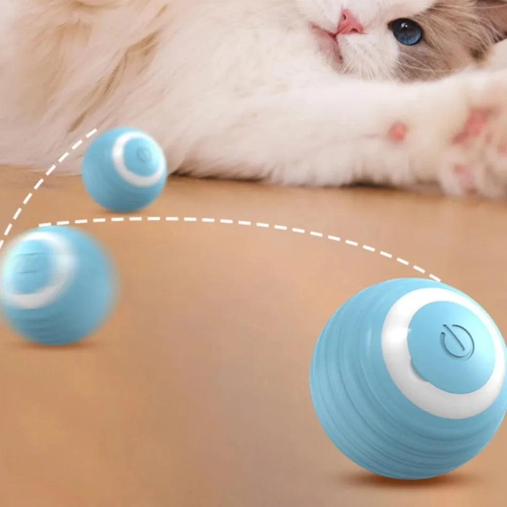 Electric Interactive Cat Toy