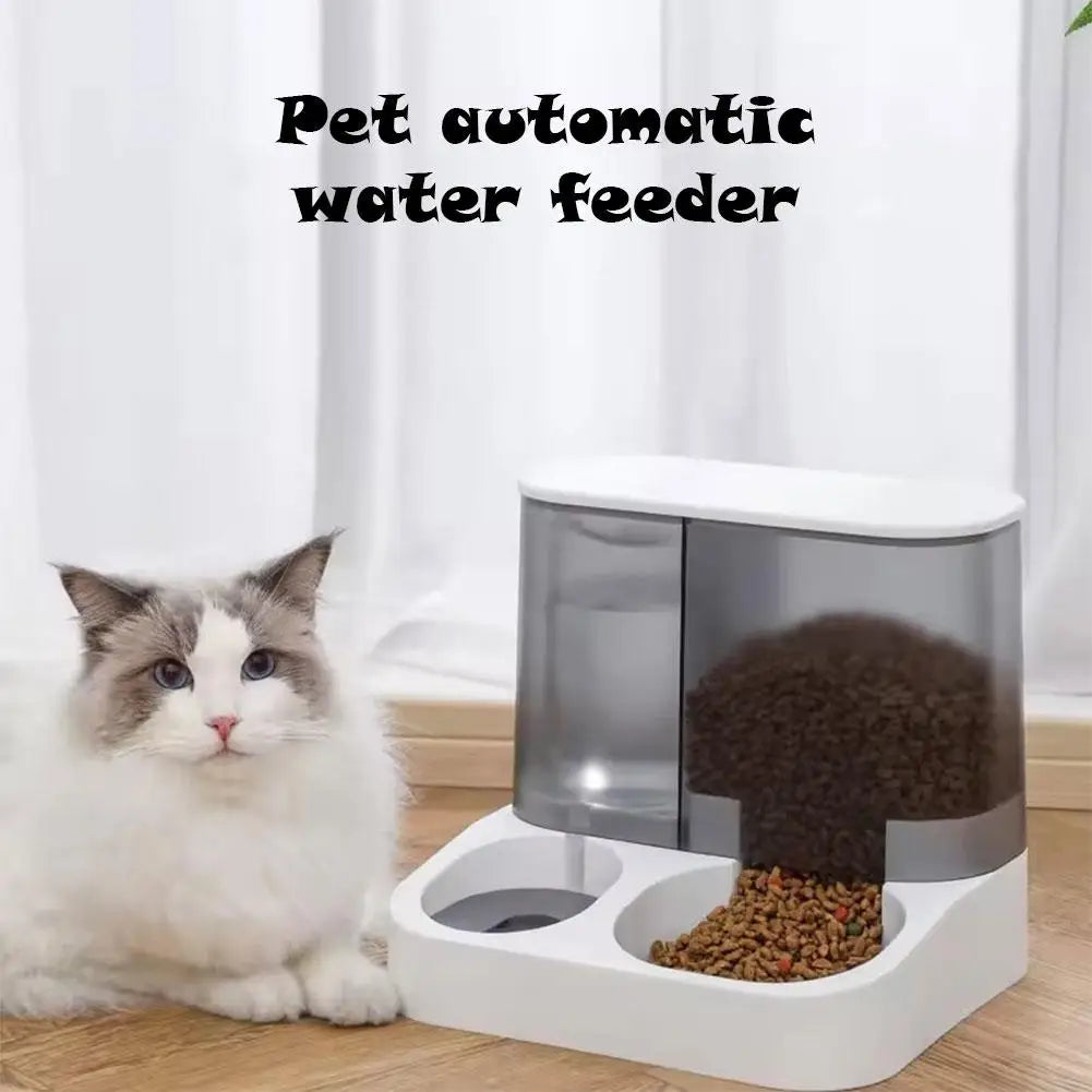 Dispensador automático de comida y bebedero para gatos: separación de comida seca y húmeda