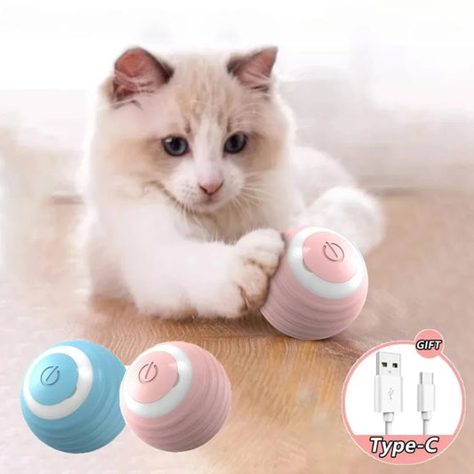 Electric Interactive Cat Toy