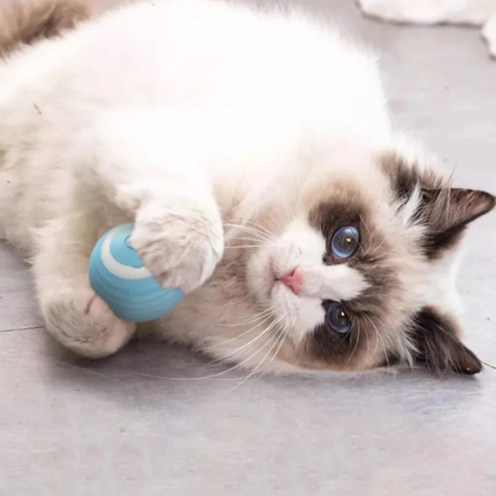 Electric Interactive Cat Toy