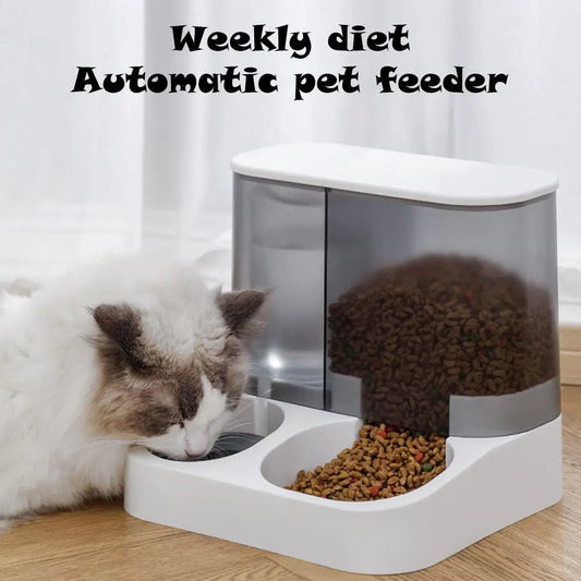 Automatic Cat Food Dispenser & Water Bowl – Dry & Wet Food Separation