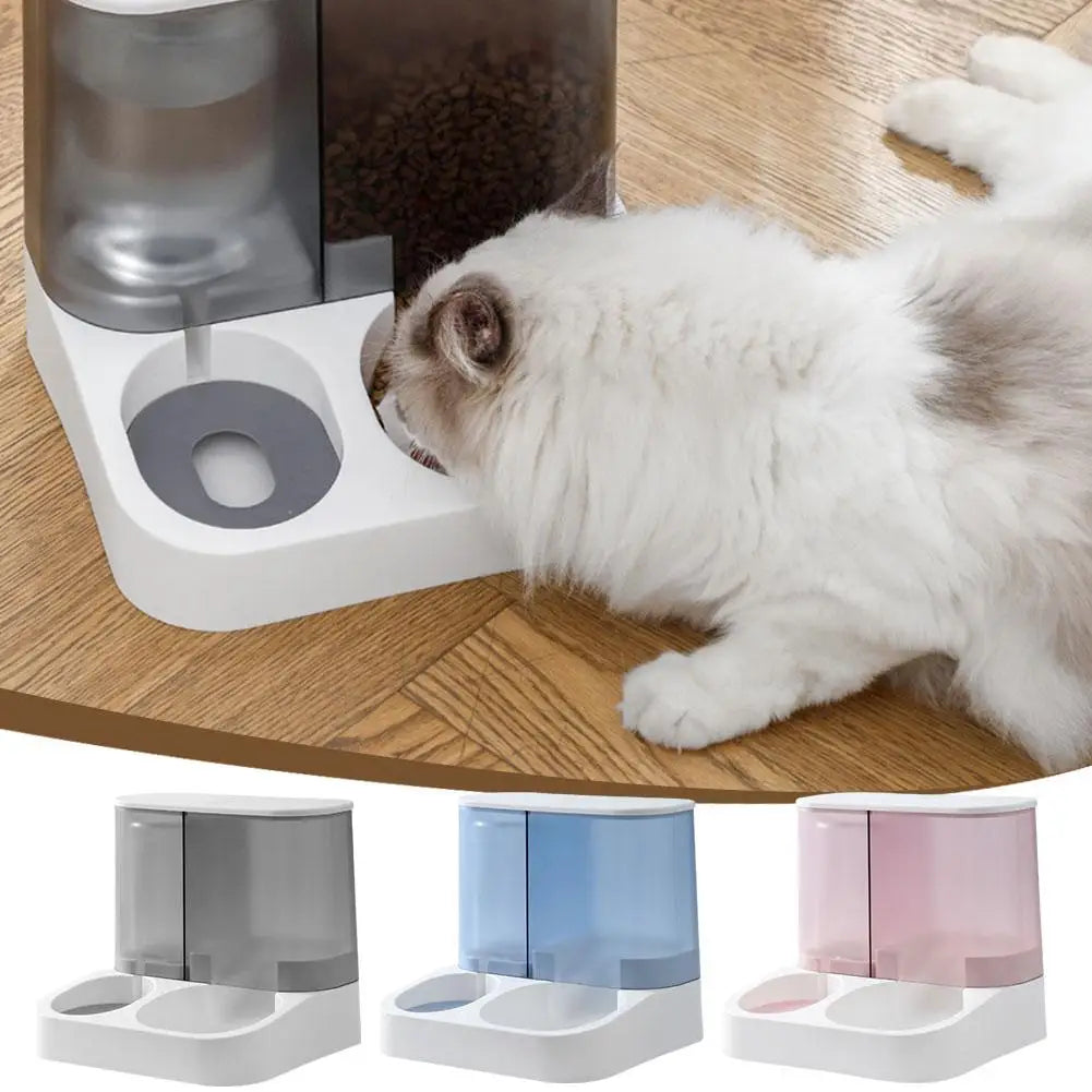 Dispensador automático de comida y bebedero para gatos: separación de comida seca y húmeda